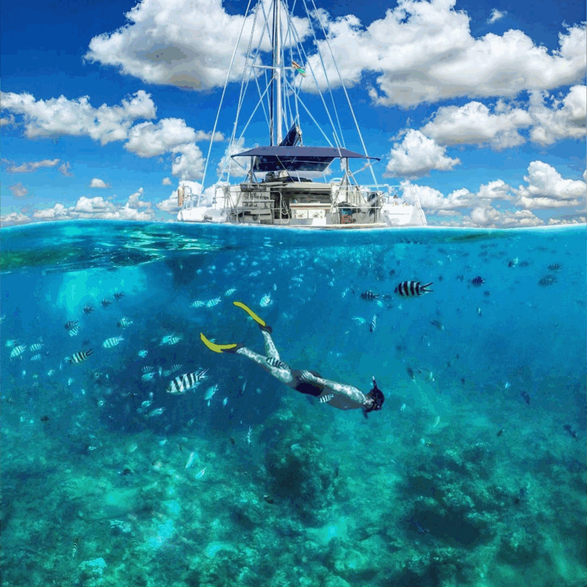 Croisière en Catamaran